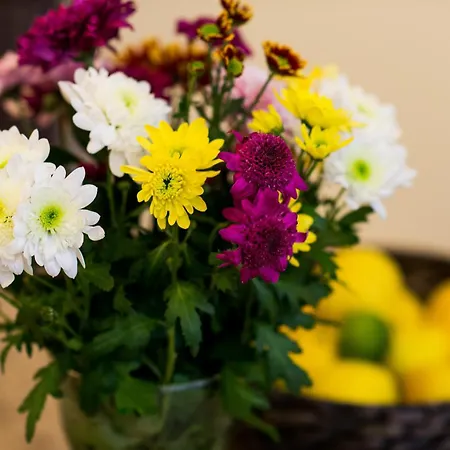 Vanilla 1, 2bdr 2bth 5min To Main Square Kraków